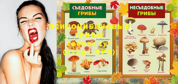 шишки Абдулино