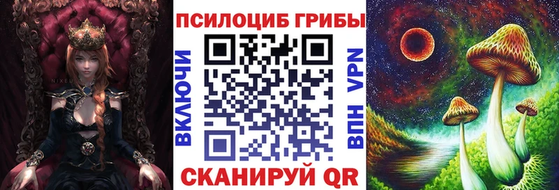 Галлюциногенные грибы Psilocybe  Хасавюрт 